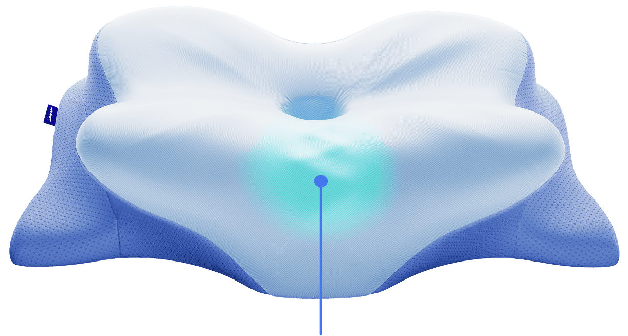 Manufacturer render of the contour pillow with a teal zone highlight over the center channel